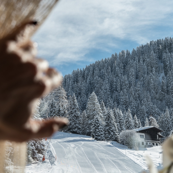 Chalet Laura 